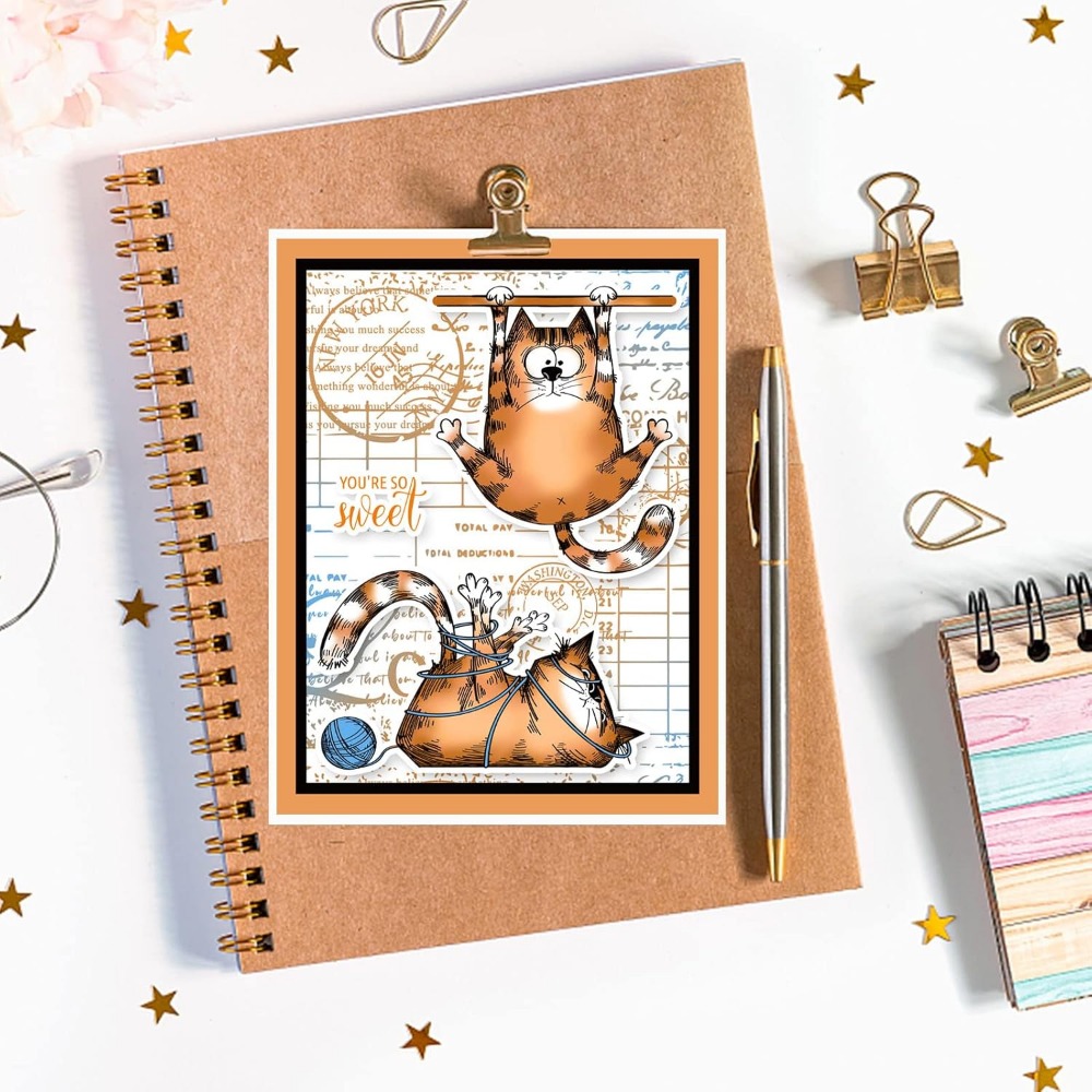 Sellos transparentes de gato d - Clear Silicone Stamps For Card Making reseña y precio